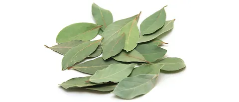 Laurel Leaves