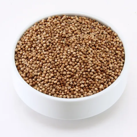 Coriander Seeds