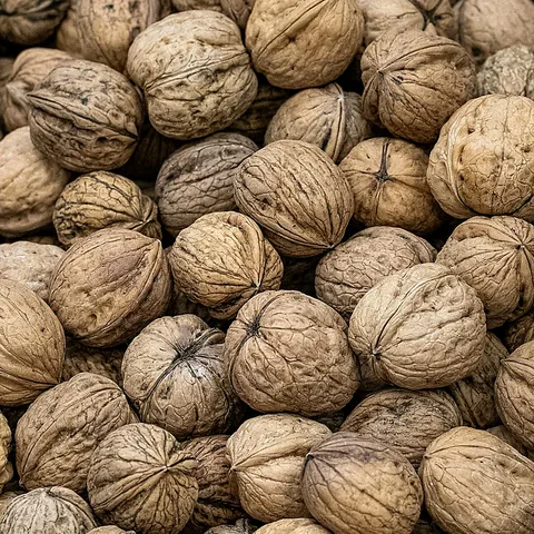 In-shell Walnuts — 10 kg