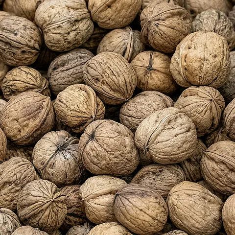 In-shell Walnuts — 25 kg (Export)