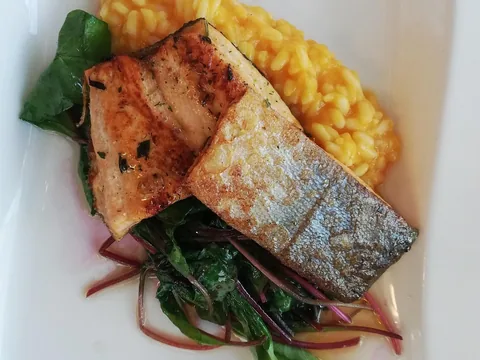 Sudak Fleto (tatlı su levreği)