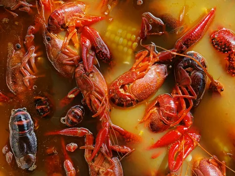 Pişmiş Dondurulmuş Kerevit Eti