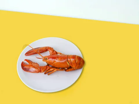 Kerevit Kuyruğu Ebi (kg)