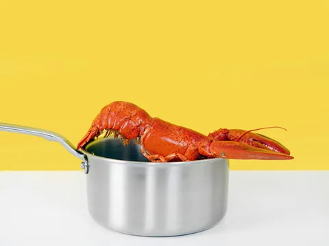 Soslu Kerevit Eti (500 Gr)