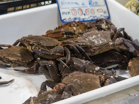 Temizlenmiş Mavi Yengeç