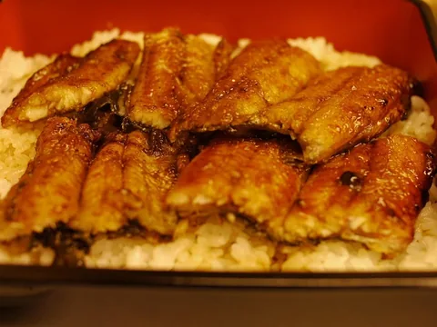 Unagi/Shirayaki (Kg)