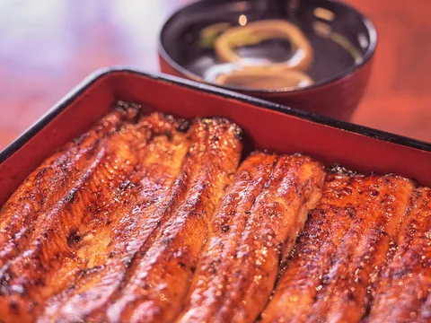 Unagi kabayaki (Kg)