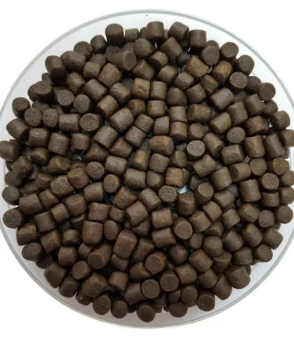 Sea Bream Harvest Feedi